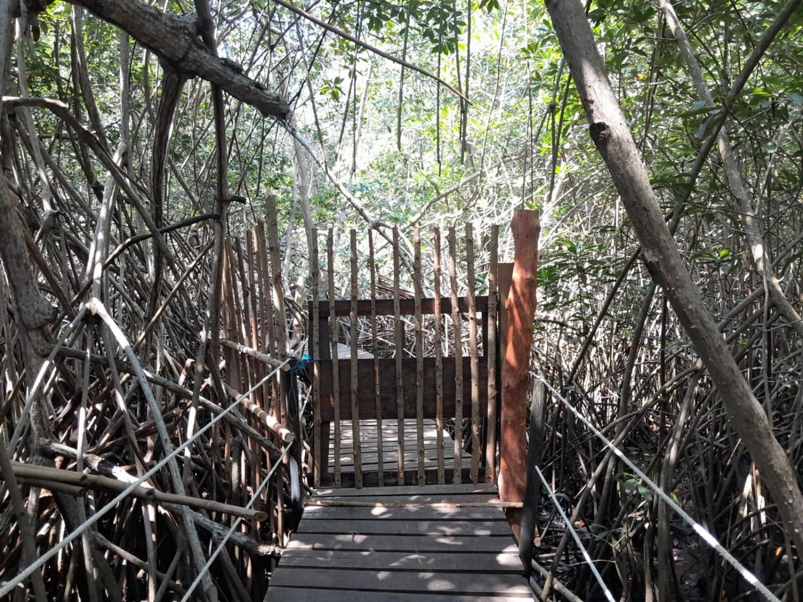El Puente Ξενοδοχείο El Paredón Buena Vista Εξωτερικό φωτογραφία